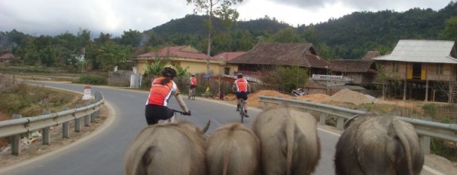 3 days Hanoi Cycling to Ba Be National Park