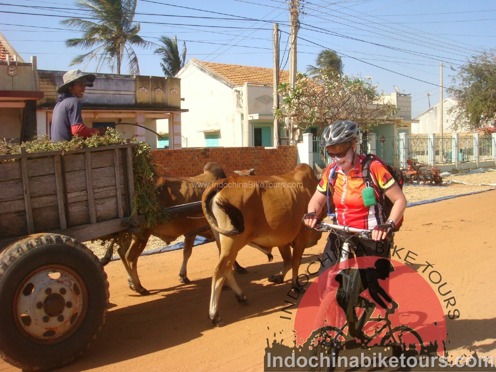 Nha Trang Biking to Hanoi along the coast and Ho Chi Minh Trails - 12 Days 1