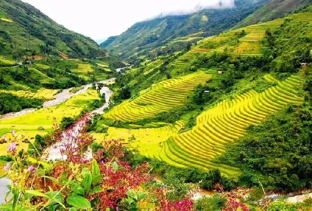 12 Days Vietnam Mountain To The Bay