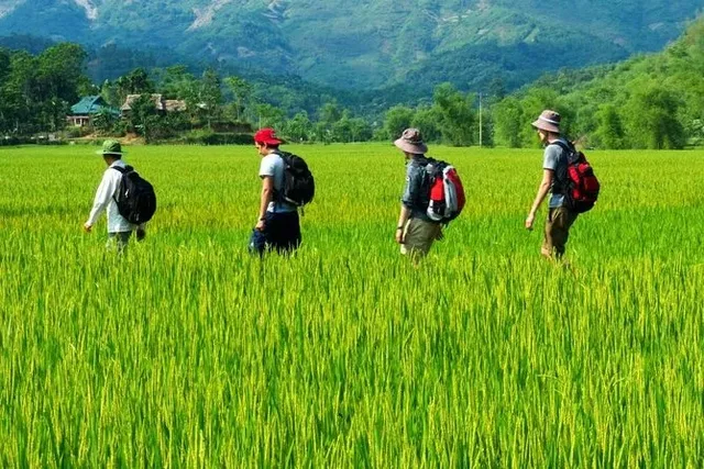 6 Days Trekking In Mai Chau and Pu Luong Nature Reserver