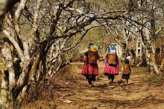 2 Days Sapa Easy Trekking And Homestay