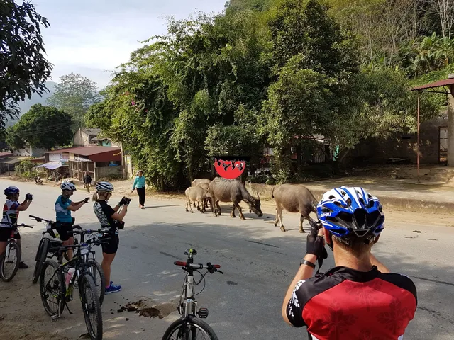 Explore Mekong Delta Cycling Tours -  10 Days 2
