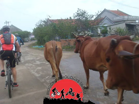 Hanoi Cycle To Hoian - 9 Days 3