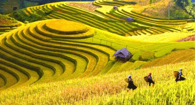 Hanoi – Mai chau Home Stay Tour 2 Days/ 1 Night 4