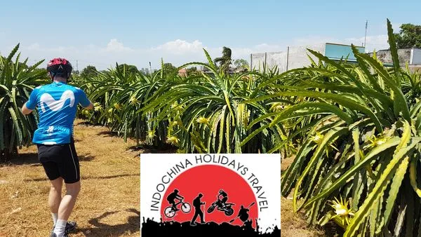Mekong Experience Cycling Tour - 7 Days 3