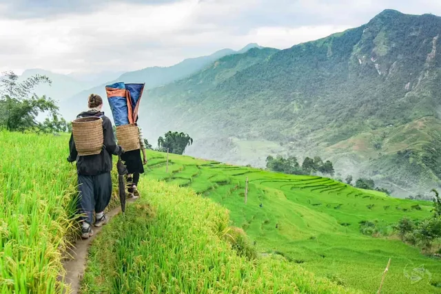 Sapa Easy Trekking And Homestay – 2 Days 3