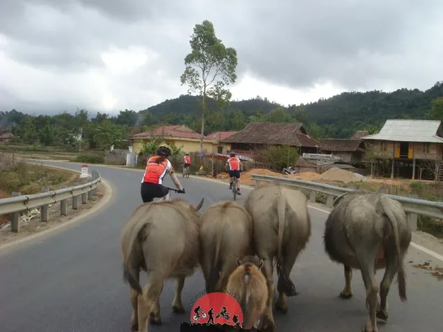 Special Adventure Biking Tour From Northwest To Northeast – 15 Days 2